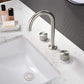 Bathroom Sink Widespread Faucet with Drain Assembly