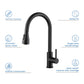 Value Single Handle Pull Down Kitchen Faucet