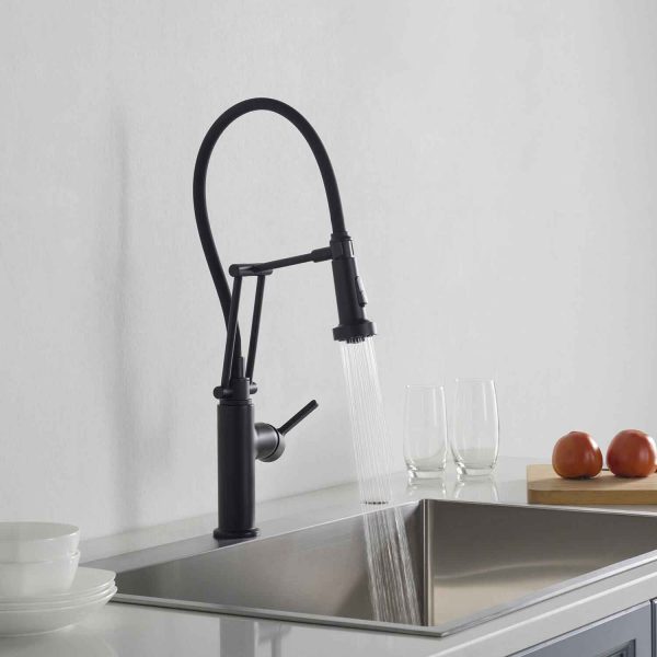 Engel Single Handle Pull Down Kitchen Faucet