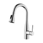 Single Handle Pull Down Kitchen & Bar Sink Faucet Bari