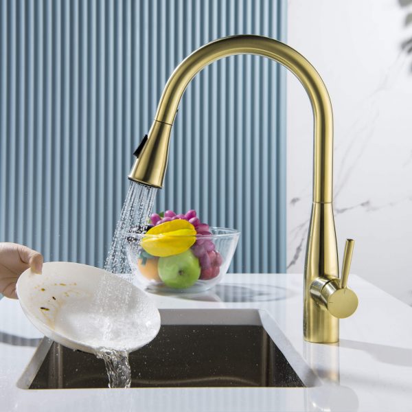 Bari-T Single Handle Pull Down Kitchen Sink Faucet