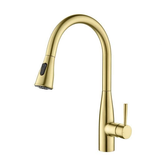 Bari-T Single Handle Pull Down Kitchen Sink Faucet