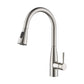 Bari-T Single Handle Pull Down Kitchen Sink Faucet