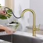 Fusion Single Handle Pull Down Kitchen & Bar Sink Faucet