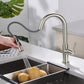 Fusion Single Handle Pull Down Kitchen & Bar Sink Faucet