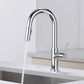 Fusion Single Handle Pull Down Kitchen & Bar Sink Faucet