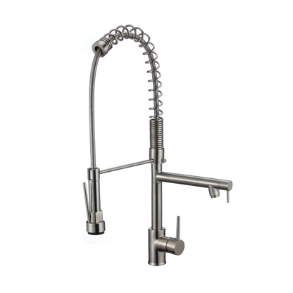 Fountain Series Kitchen Faucet