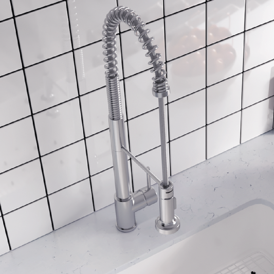 Fountain Series Kitchen Faucet