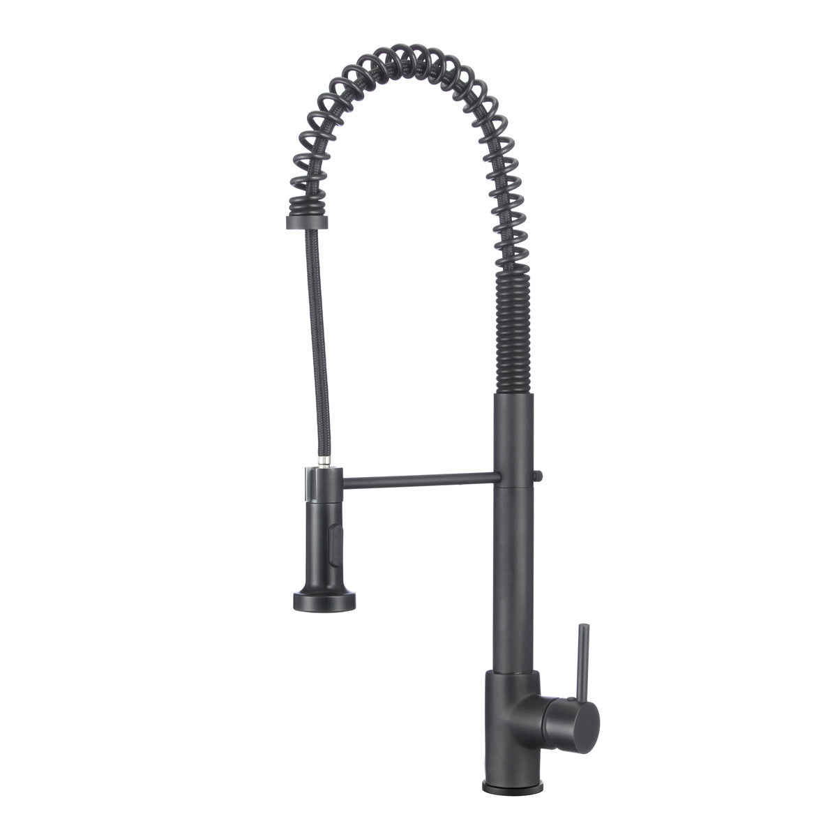 Fountain Series Kitchen Faucet