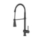 Fountain Series Kitchen Faucet