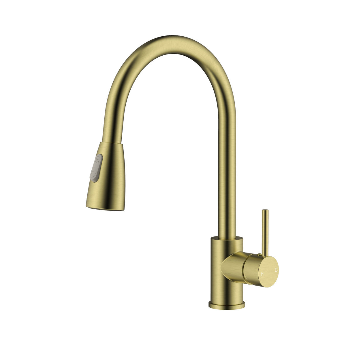 Fountain Series Kitchen Faucet