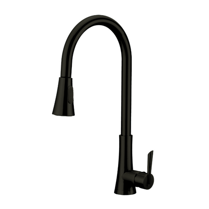 Fountain Series Kitchen Faucet