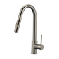 Fountain Series Kitchen Faucet