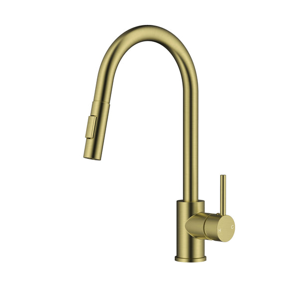 Fountain Series Kitchen Faucet