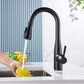 Single Handle Pull Down Kitchen & Bar Sink Faucet Bari