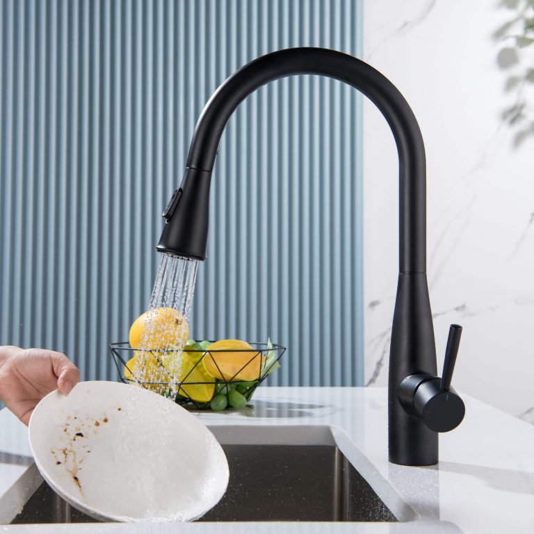 Bari-T Single Handle Pull Down Kitchen Sink Faucet