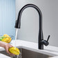 Bari-T Single Handle Pull Down Kitchen Sink Faucet