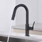 Fusion Single Handle Pull Down Kitchen & Bar Sink Faucet